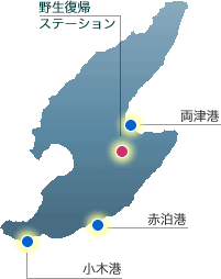 ���n���̊T���}