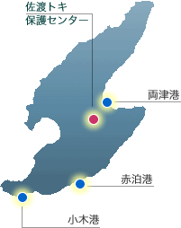 佐渡島の概略図